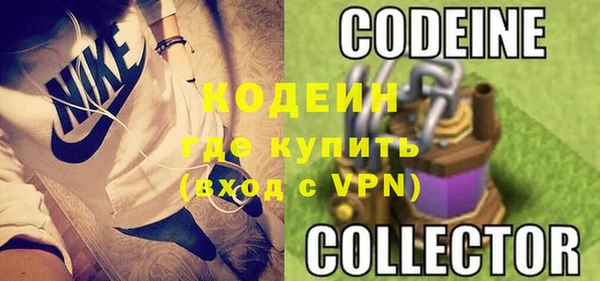 прущие грибы Богородицк