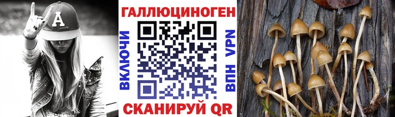 Галлюциногенные грибы GOLDEN TEACHER  закладки  мега рабочий сайт  Белокуриха 