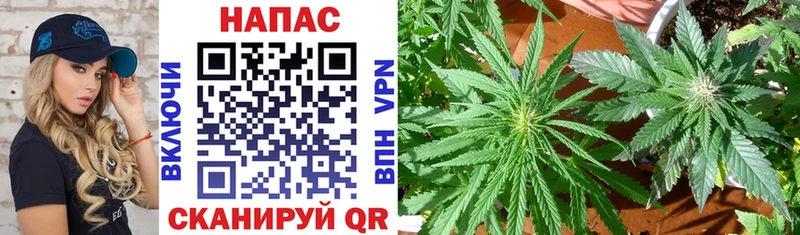 Канабис Bruce Banner Белокуриха