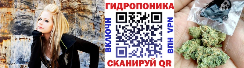 МЕГА вход  Белокуриха  Шишки марихуана ГИДРОПОН 